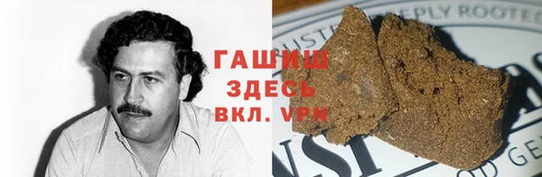 гидра Алексин