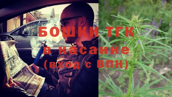 гидра Алексин