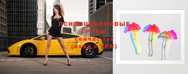 ешки Алзамай