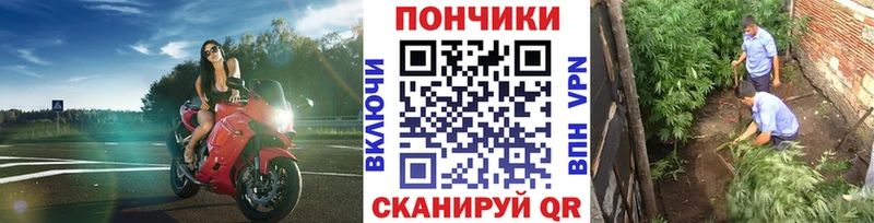 МАРИХУАНА марихуана  Пущино 